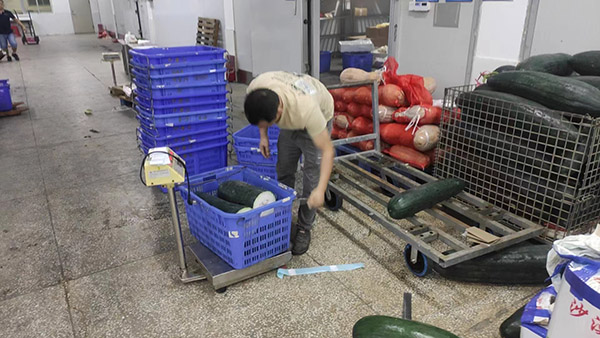 碳減排碳足跡發言 碳減排碳足跡發言